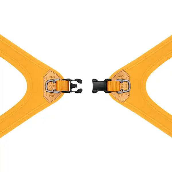 Buckle-up Easy Dog Harness (Not Adjustable) - Image 3